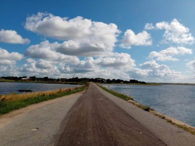 Holiday house 6 person holiday home in Thisted-By Traum - Outdoor photo 12