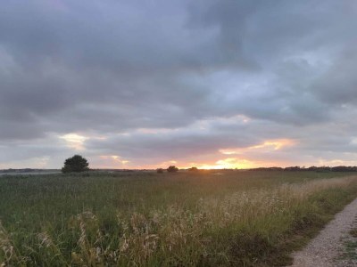 Holiday house 6 person holiday home in Thisted-By Traum - Outdoor photo 18