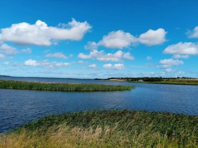 Holiday house 6 person holiday home in Thisted-By Traum - Outdoor photo 29