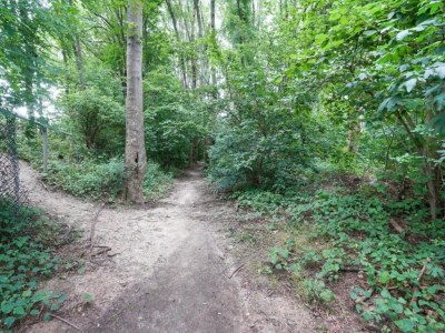 Holiday house Modern Comforts of this home in Paesens - Environment photo 30