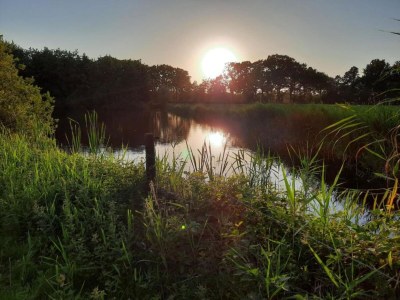 Holiday house Safari Tent, Friesland - Environment photo 24