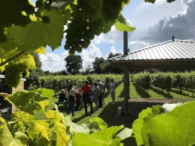 Holiday house Safari Tent, Friesland - Environment photo 35