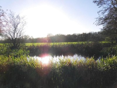 Holiday house Safari Tent, Friesland - Environment photo 39