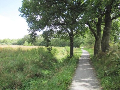 Holiday house Safari Tent, Friesland - Environment photo 40