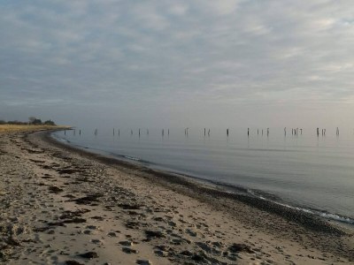 Holiday house Luxury Spa Retreat in Lolland - By Traum Ferienwohnungen - Outdoor photo 6