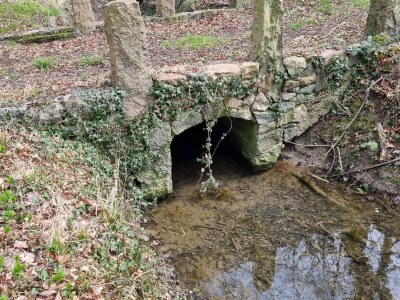 Holiday house Luxury Spa Retreat in Lolland - By Traum Ferienwohnungen - Outdoor photo 19