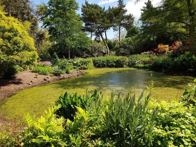 Holiday house Luxury Spa Retreat in Lolland - By Traum Ferienwohnungen - Outdoor photo 21