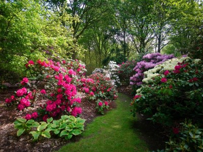 Holiday house Luxury Spa Retreat in Lolland - By Traum Ferienwohnungen - Outdoor photo 31