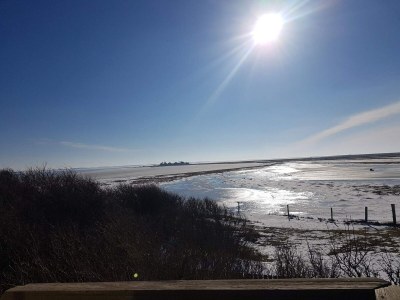 Holiday house Luxury Spa Retreat in Lolland - By Traum Ferienwohnungen - Outdoor photo 35