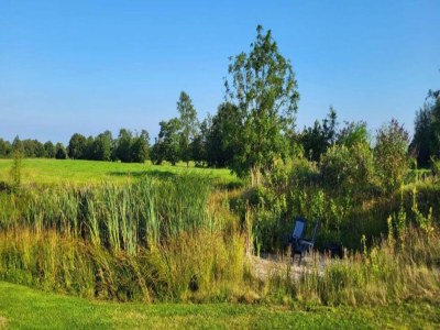 Holiday house Glamping-Lodge nahe Naturreservate Friesland - Environment photo 25