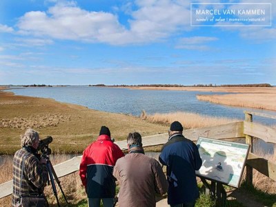Holiday house Glamping-Lodge nahe Naturreservate Friesland - Environment photo 28