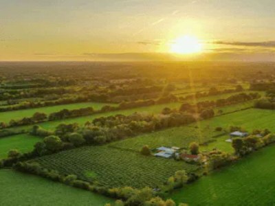 Holiday house Glamping-Lodge nahe Naturreservate Friesland - Environment photo 34