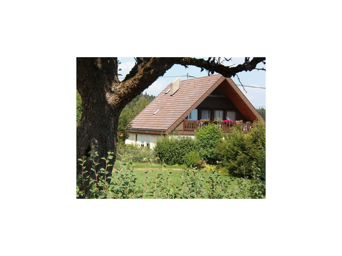 Apartment Ferienwohnung im Kappeler Wald