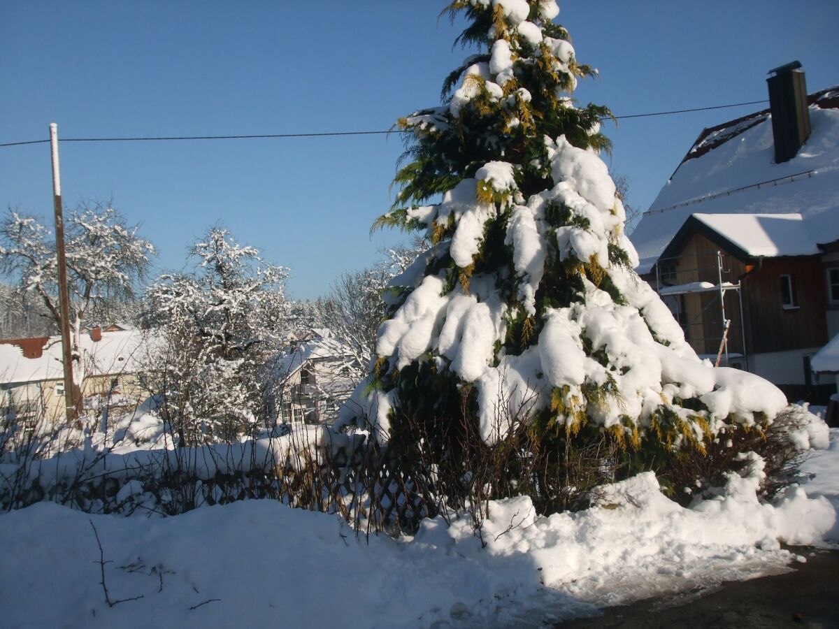 Apartment Ferienwohnung im Kappeler Wald - Outdoor photo 4
