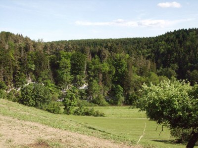 Apartment Ferienwohnung im Kappeler Wald - Environment photo 34