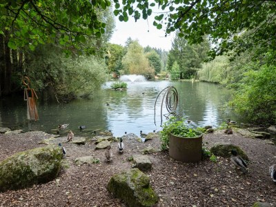Apartment Ferienwohnung im Kappeler Wald - Environment photo 35