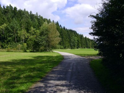Apartment Ferienwohnung im Kappeler Wald - Environment photo 39