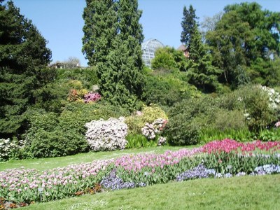 Apartment Ferienwohnung im Kappeler Wald - Environment photo 40