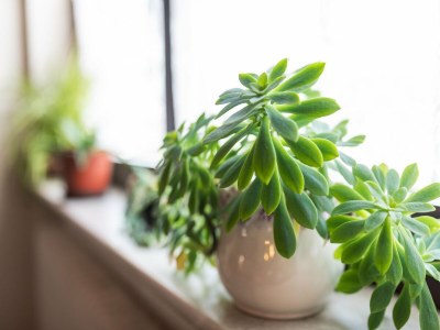 Apartment Ferienwohnung im Kappeler Wald - Outdoor photo 41