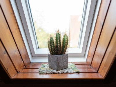 Apartment Ferienwohnung im Kappeler Wald - Outdoor photo 47