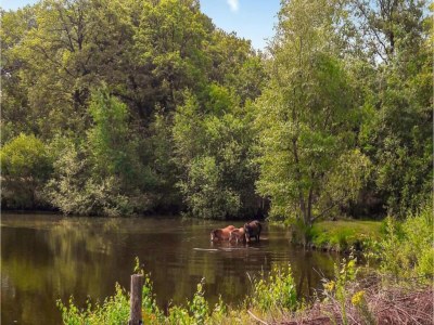 Holiday park Bungalow am Wasser von Weerterbergen - Environment photo 14