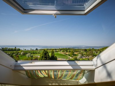 Holiday apartment King Dagobert - Outdoor photo 4