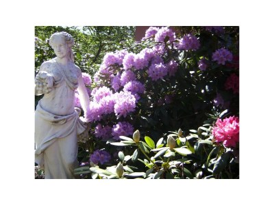 Holiday apartment King Dagobert - Environment photo 17