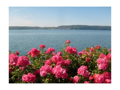 Holiday apartment King Dagobert - Environment photo 19