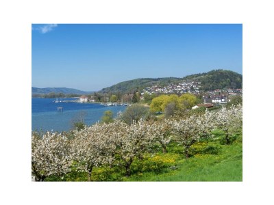 Holiday apartment King Dagobert - Environment photo 21