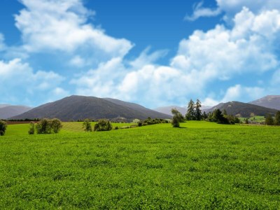 Chalet Schönes Chalet in Wölting mit Naturteich - Environment photo 36
