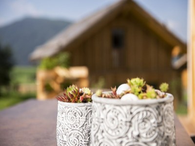 Chalet Gemütliches Chalet in Wölting mit Naturbadeteich - Outdoor photo 37