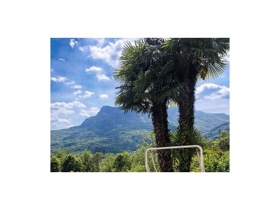 Apartment Residenza Bosco Sole: Fedayn - Outdoor photo 3