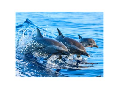 Holiday apartment El Libre Playa - Environment photo 21