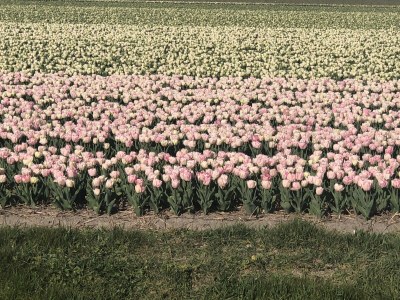 Holiday apartment The Silvery Coast - Environment photo 30