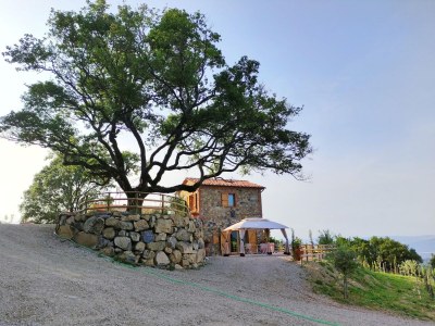 Villa Neue toskanische Villa mit Pool - Outdoor photo 4