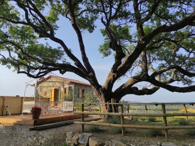 Villa Neue toskanische Villa mit Pool - Outdoor photo 10