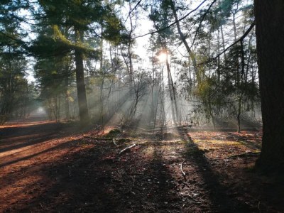 Holiday park Chalet in Eindhoven near Green Forests - Environment photo 17