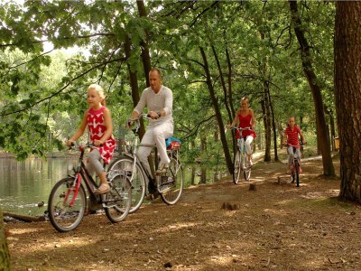 Holiday park Chalet in Eindhoven near Green Forests - Outdoor photo 39