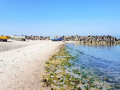 Holiday house 5 Personen Ferienhaus in Melby-By Traum - Outdoor photo 12