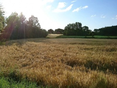 Holiday house 4 person holiday home in Rudkøbing-By Traum - Outdoor photo 8