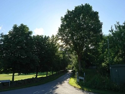Holiday house 4 person holiday home in Rudkøbing-By Traum - Outdoor photo 10