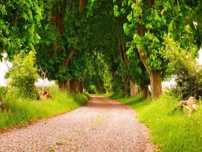 Holiday house 4 person holiday home in Rudkøbing-By Traum - Outdoor photo 17