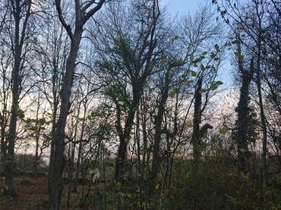 Holiday house 4 person holiday home in Rudkøbing-By Traum - Outdoor photo 22