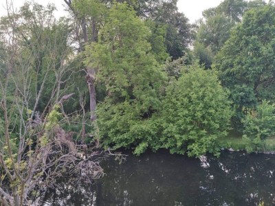 Holiday house 4 person holiday home in Rudkøbing-By Traum - Outdoor photo 37