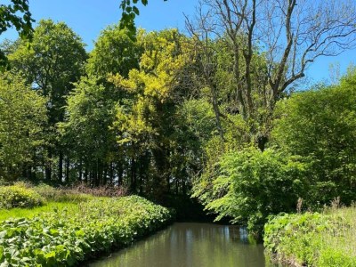 Holiday house 4 person holiday home in Rudkøbing-By Traum - Outdoor photo 39