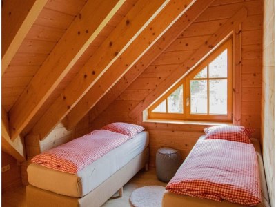 Holiday house Holzferienhaus in Willingen mit Sauna - Features photo 8