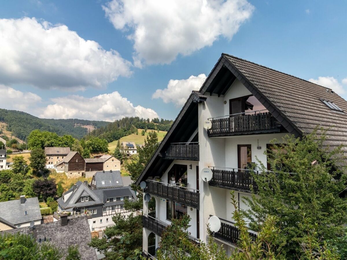 Apartment Wohnung mit Sauna bei Willingen