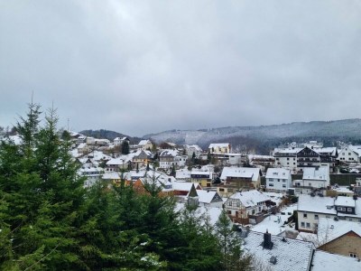 Apartment Wohnung mit Sauna bei Willingen - Outdoor photo 2
