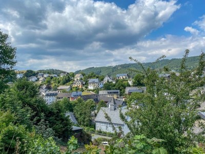 Apartment Wohnung mit Sauna bei Willingen - Outdoor photo 8