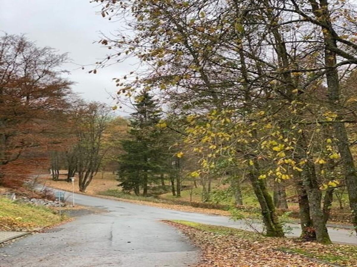 Holiday house Ferienhaus bei Willingen mit Terrasse - Outdoor photo 5